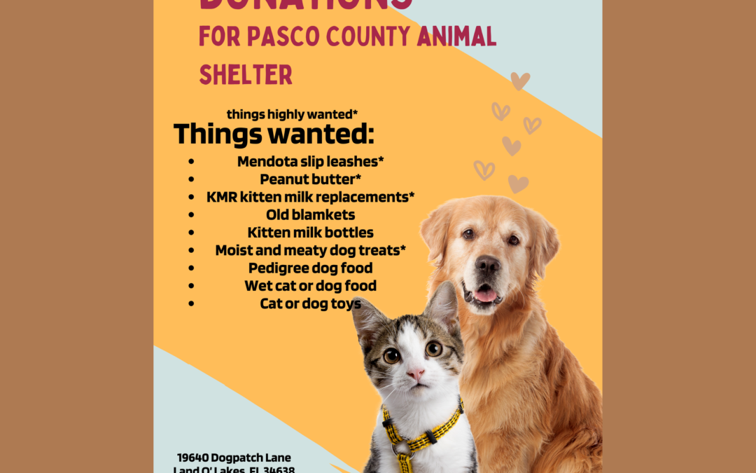 Donate to the Pasco Animal Shelter Cypress Creek High School